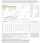 thumbnail of Variant Alternative Income Fund NICHX Factsheet 2026 05